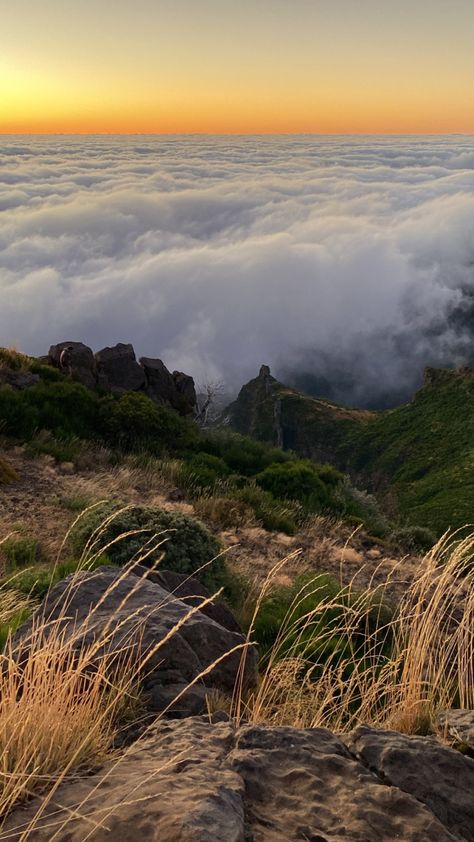 Madeira Aesthetic, Madeira Funchal, Beauty Plan, Aesthetic Ig, Funchal, I Want To Travel, Portugal Travel, Summer 24, Travel Board