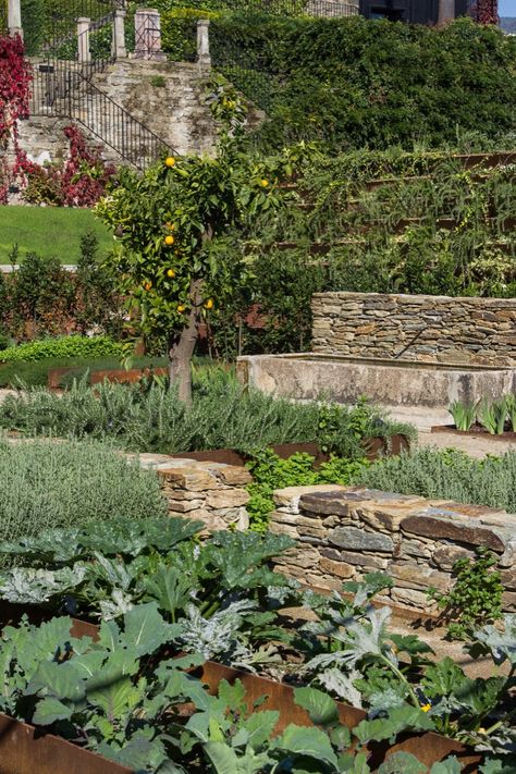 Terraced Vegetable Garden, Terraced Backyard, Six Senses, Garden Paving, Douro Valley, Courtyard Garden, Landscape Trees, Contemporary Landscape, Architecture Project