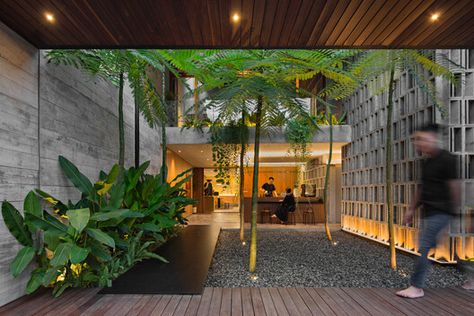 Urban Heat Island, Urban Forest, Courtyard Design, Tropical Architecture, Green Environment, Garden Cafe, Modern Tropical, Concrete Jungle, Cafe Design