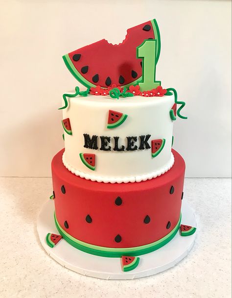 Watermelon Cake Diy, Watermelon Decorated Cake, One In A Melon First Birthday Cake, Watermelon Theme Cake, Watermelon Cake Design, Watermelon Cake Ideas, Amazing Cake Designs, Watermelon Birthday Cake, One In A Melon Cake