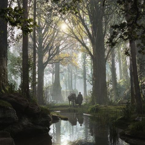 Dylan Cole on Instagram: "Maleficent Matte Painting- Aurora meets Philip in the forest. Not quite as stylized as I was hoping we would do, but I got some essence of Eyvind Earle in there. Can't believe I did this 10 years ago.⁠ .⁠ .⁠ .⁠ #maleficent #disney #eyvindearle #mattepainting #beforeandafter #vfx #conceptart #photoshop #productiondesign #art #artistsoninstagram #digitalart" Aurora Aesthetic Maleficent, Maleficent Moors Aesthetic, Dylan Cole Art, Maleficent Movie Aesthetic, Aurora Maleficent Aesthetic, The Moors Maleficent, Maleficent Forest, Sleeping Beauty Forest, Disney Forest