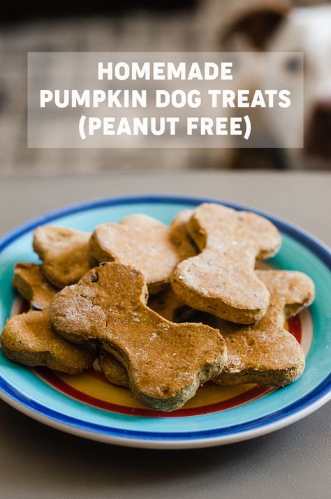 Homemade Pumpkin Dog Treat (Peanut Free): Simple homemade dog treats made with pumpkin puree, whole wheat flour, and bacon. Pumpkin Almond Flour Dog Treats, Dog Treats Without Peanut Butter, Homemade Pumpkin Dog Treats, Shikoku Dog, Mudi Dog, Pumpkin Dog Treat, Dog Treats Homemade Pumpkin, Names Dog, Cake Dog