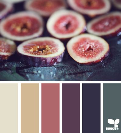 Seeds Color, Fresh Color, Design Seeds, Color Palette Design, Navy Grey, Color Balance, Color Inspo, World Of Color, Colour Schemes