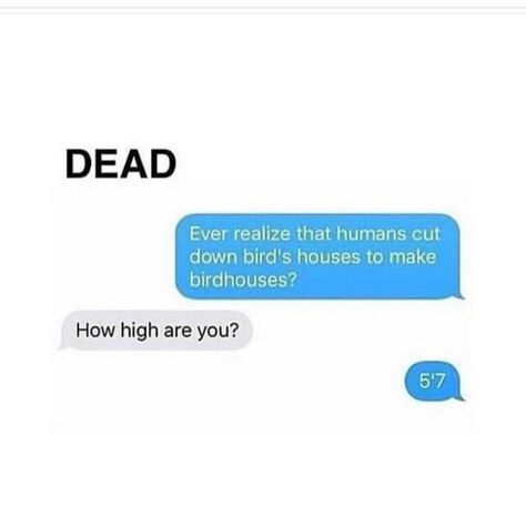 Shared via Thunder Dungeon App Sms Humor, Funny Text Conversations, How High Are You, Text Jokes, Memes Humor, Funny Messages, Funny Text Messages, Best Funny Pictures, Funny Posts