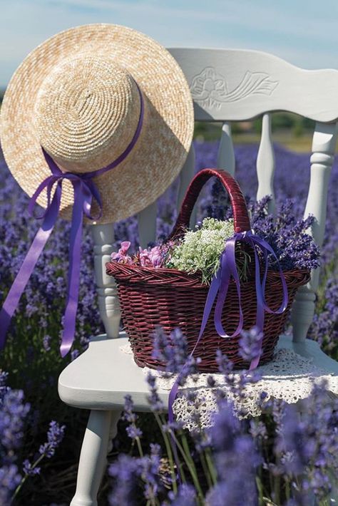 Victoria Magazine, Pink October, Lavender Field, Lovely Lavender, Lavender Fields, The Promise, Straw Hat, Purple Flowers, Beautiful Photo