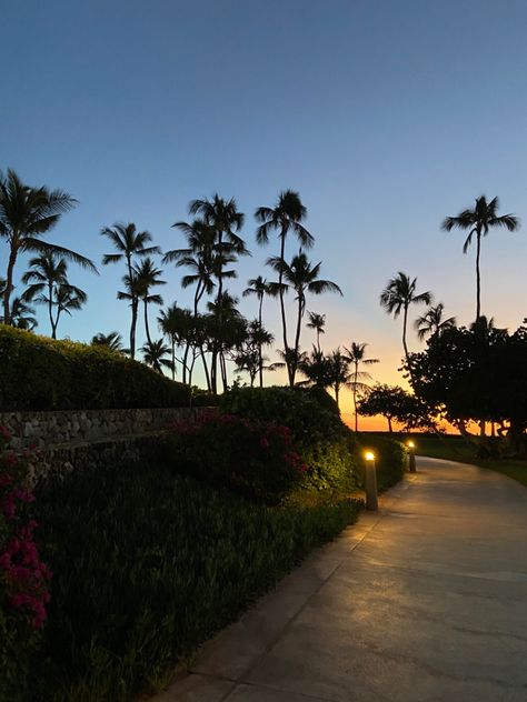 sunset with the palm trees at a resort in hawaii Island Sunset Aesthetic, Hawaii Vacation Aesthetic, Resort Aesthetic, Pretty Skys, Florida Aesthetic, Island Aesthetic, Explore Aesthetic, Hawaii Resorts, Island Sunset