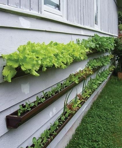 gutter garden boxes Repurposed Planter, Pnw Garden, Kebun Herbal, Gutter Garden, Vertical Vegetable Garden, Vertical Gardens, The Secret Garden, Veggie Garden, Vertical Garden