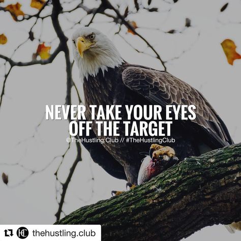 Keep Your Eyes On The Target 🎯 Quotes On Eagle, Eagle Quotes Inspiration, Cunning Quotes, Eagle Motivation, Eagle Mentality, Target Quotes, Eagle Quotes, Yoga Captions, Eagles Quotes