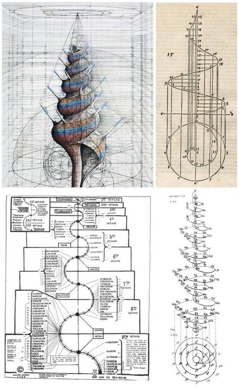 Fibbonaci Sequence Nature, Patterns In Nature Geometric, Vortex Mathematics, Spiral Design Art, Mathematical Art, Geometry In Nature, Spiral Art, Sacred Science, Sacred Geometry Symbols