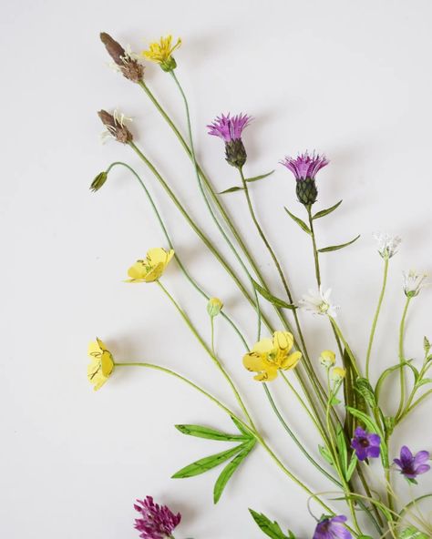 My next paper wild flower workshop will be at @siopdaviesshop in Newtown on the 27th of July where I'll be showing you how I design and make my paper flowers and helping you to make your own. You can find out more and book your tickets by following the link in my profile. . . . . #paper #paperflowers #wildflowers #psimadethis #learnsomethingnew #workshops #mindfulmaking #botanicalart #floraldesign #paperartist #handmade #handmadeflowers Paper Wildflowers Diy, Kate Kato, Paper Wildflowers, Flower Workshop, Paper Artist, I Design, Wild Flower, Handmade Flowers, Botanical Art