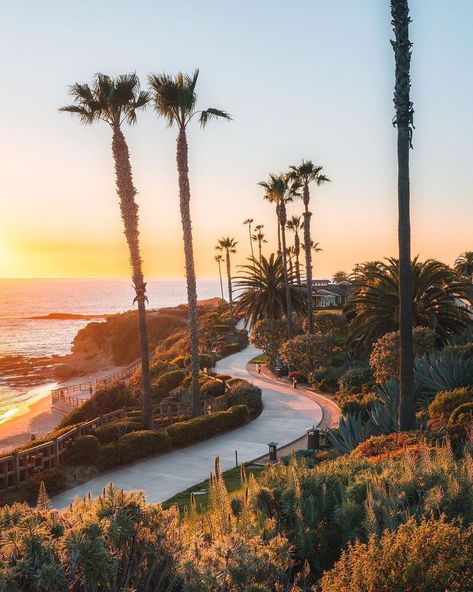 📍California Love on Instagram: “That Friday feelin' 🤗 Tag someone you want to visit Laguna Beach with! (📸 @derekrliang) #californialove” Alabama Hills, Montage Laguna Beach, Sutro Baths, Laguna Beach California, California Vibe, California Photos, Lake Powell, Cannon Beach, California Love