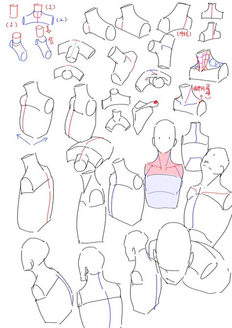 neck and shoulders Neck And Shoulder Anatomy Drawing, Shoulders Anatomy Drawing, Drawing Shoulders Reference, Shoulder Tutorial Drawings, Drawing A Neck, Shoulders Art Reference, Neck And Shoulders Drawing, Drawing Necks And Shoulders, Neck And Shoulder Reference