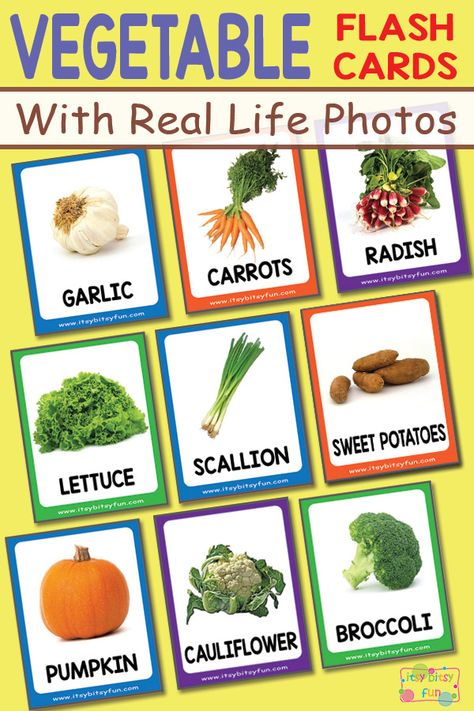 Free Pritnable Vegetable Flashcards with Real Life Photos Preschool Flowers, Vegetable Cart, Garden Preschool, Food Flashcards, Preschool Food, Real Life Photos, Vegetable Pictures, Nutrition Activities, Food Activities