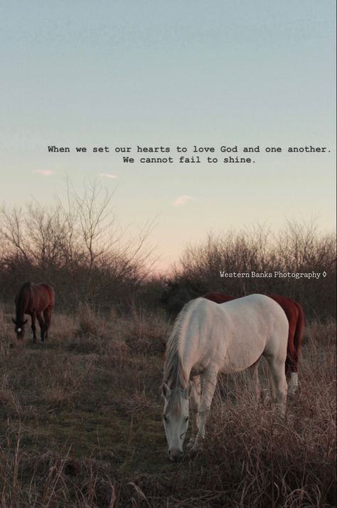 Western Wallpaper With Quote, Western Couple Quotes, Christian Cowboy Aesthetic, Positive Western Quotes, Horse Wallpaper With Quotes, Ranch Life Quotes, Cute Country Quotes Lyrics, Country Inspirational Quotes, Cute Cowgirl Quotes