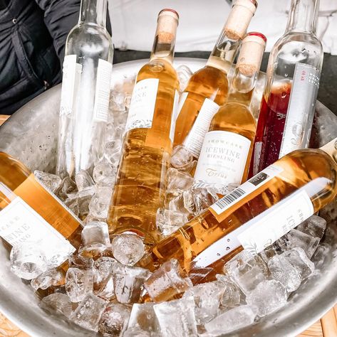 Chasing winter magic at the Ice Wine Festival in Niagara-on-the-Lake! 🍇❄️ Got a taste of heaven with apricot and pear-infused Riesling from Bella Terra Vineyard – who knew sipping in cold temps could be this cozy? 😍🥂 Are you an ice wine drinker? Niagara On The Lake, Ice Wine, Wine Drinkers, Winter Magic, Wine Festival, Riesling, The Ice, Monaco, Apricot