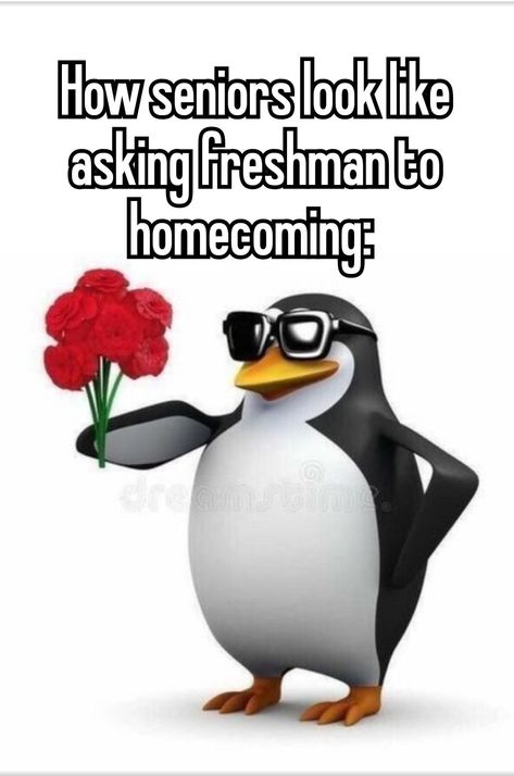 And freshman being dumb they say yes ☠️ (im not even freshman yet) Freshman Memes, Coquette Images, Texting Ideas, Freshman Year, Say Yes, Dumb And Dumber, Random Stuff, Homecoming, Texts