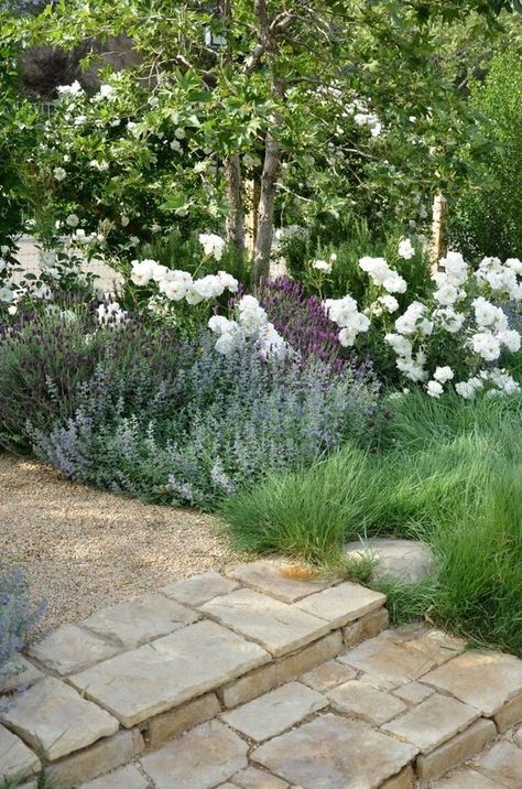 Patina Farm, Floribunda Roses, Stone Steps, Garden Steps, Have Inspiration, Mediterranean Garden, White Gardens, Garden Cottage, Farm Gardens