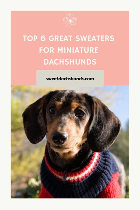 Mini Dachshund Clothes, Dachshund Dog Sweaters, Diy Jumper, Sweaters For Dogs, Dog Poncho, Dachshund Sweater, Dachshund Clothes, Fleece Dog Coat, Miniature Dachshunds