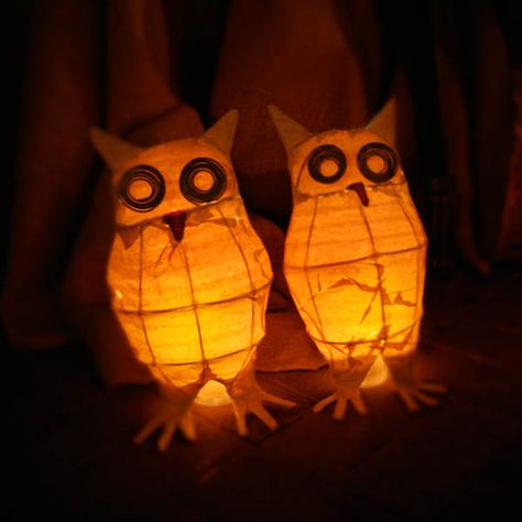 owlwedding6 Owl Decorations, Owl Lantern, Owl Tutorial, Owl Wedding, Halloween Decorations Ideas, Lantern Ideas, Willow Weaving, Easy Halloween Decorations, Owl Party