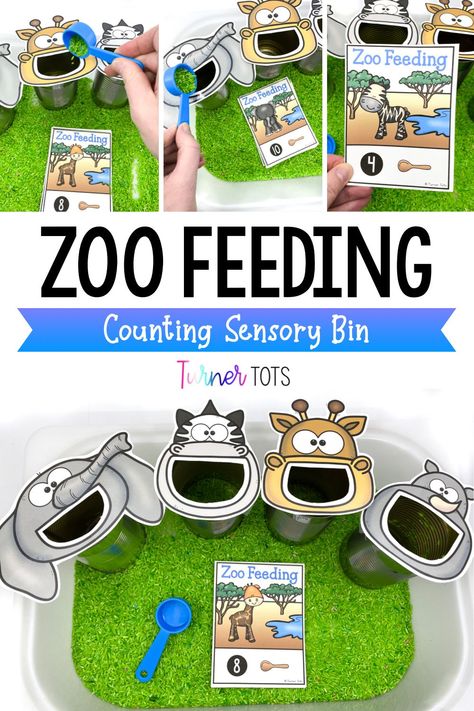 Zoo Feeding Sensory Bin, Feeding Zoo Animals Activities, Zoo Themes For Preschool, Zoo Animals Sensory Bin, Zoo Animal Games For Preschool, Zoology Activities For Preschool, All About Animals Preschool, Feed Me Letters Preschool, Zoo Sensory Activities Preschool