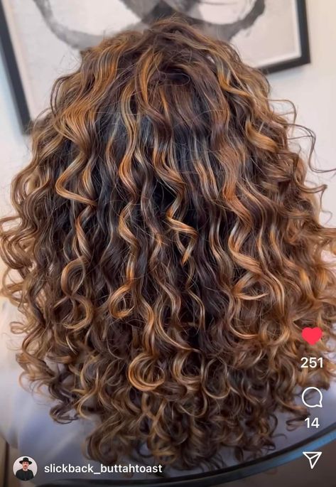 Dyed Curly Hair, Natural Curly Hair Cuts, Highlights Curly Hair, Brown Curly Hair, Curly Hair Photos, Blonde Curly Hair, Dark Hair With Highlights, Colored Curly Hair, Caramel Hair