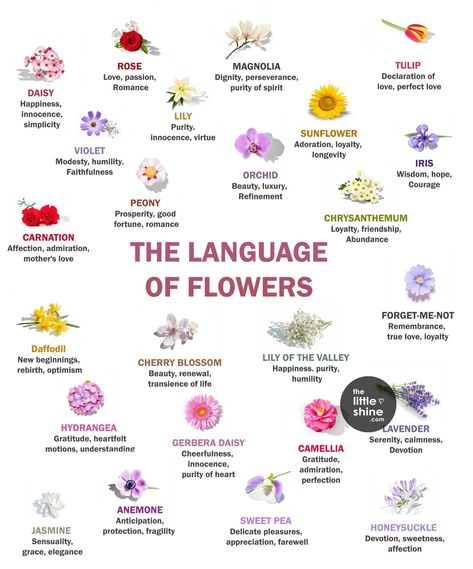 Different Flower Meanings, Flower Colour Meaning, Different Flowers And Their Meanings, Botanical Mandala, Flower Dictionary, Flower Language, Flower Types, List Of Flowers, Diy Birthday Gifts For Friends