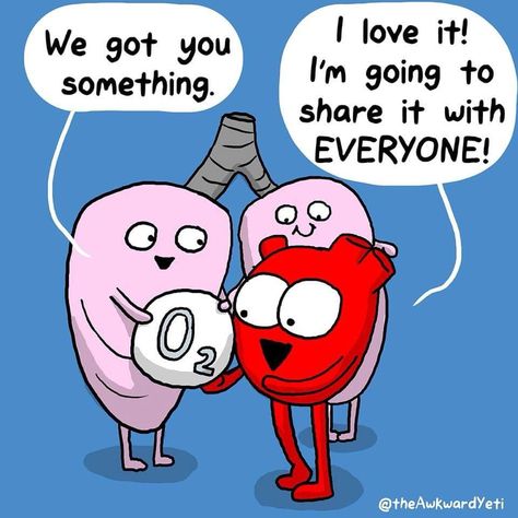 Explaining cardiovascular system. Medische Humor, Urine Analysis, Biology Jokes, Biology Memes, Awkward Yeti, The Awkward Yeti, Biology Humor, Medical Jokes, Medical Memes