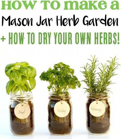 Mason Jar Herb Garden Indoor, Jar Herb Garden, Indoor Herb Garden Diy, Mason Jar Herbs, Mason Jar Herb Garden, Garden Diy Ideas, Windowsill Garden, Herb Garden In Kitchen, Diy Herb Garden