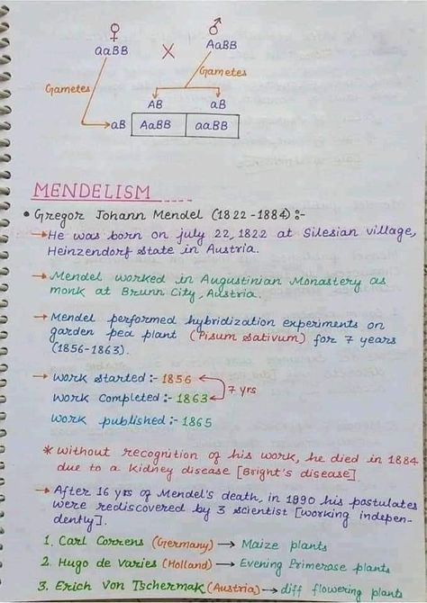 Mendalism Chromosomes Notes, Biology Tricks, Genetics Aesthetic, Genetics Notes, Zoology Notes, Biochemistry Notes, Hand Written Notes, Books Notes, Learn Biology