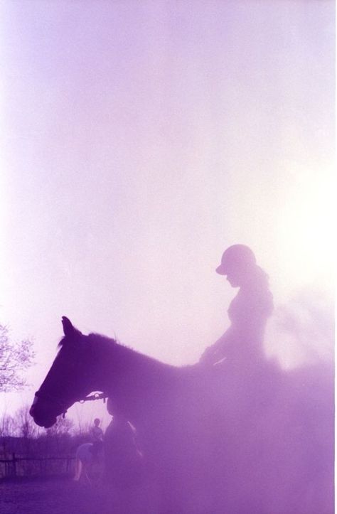 Horse Aethstetic, Horse And Girl, Aesthetic Horse, Night Horse, Purple Horse, Purple Animals, Horse Wallpaper, Horse Aesthetic, Purple Wallpaper Iphone