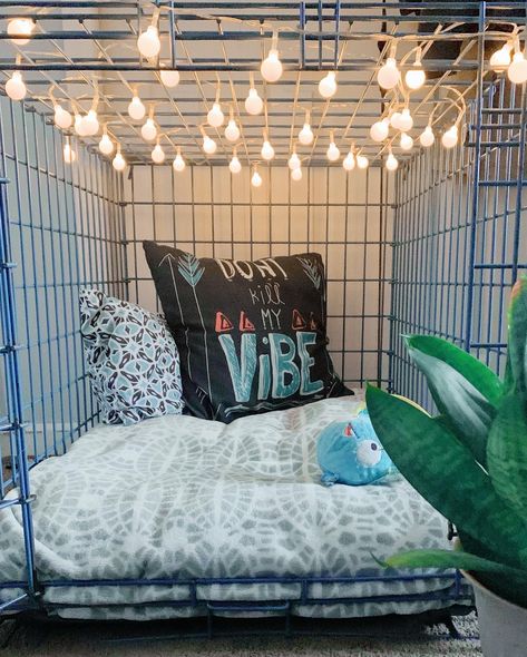 Decorated Dog Kennel, Small Dog Area In Apartment, Dog Cage Decor, Cozy Dog Crate Ideas, Decorated Dog Cage, Aesthetic Dog Kennel, Cute Dog Kennel Ideas Indoor, Aesthetic Dog Crate Ideas, Pet Cage Ideas