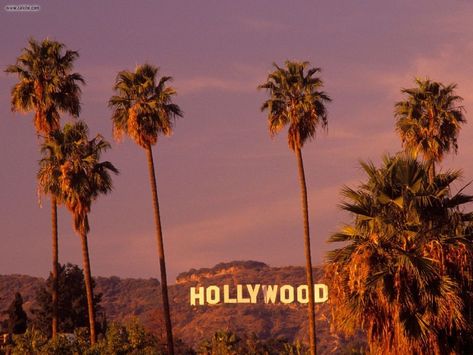 I still get excited when I see the Hollywood sign.  Silly, I know. Tan Aesthetic, Hollywood Aesthetic, Visit Los Angeles, Tori Vega, Trees Wallpaper, 달력 디자인, Istoria Artei, Gossip Girls, Los Angeles Travel