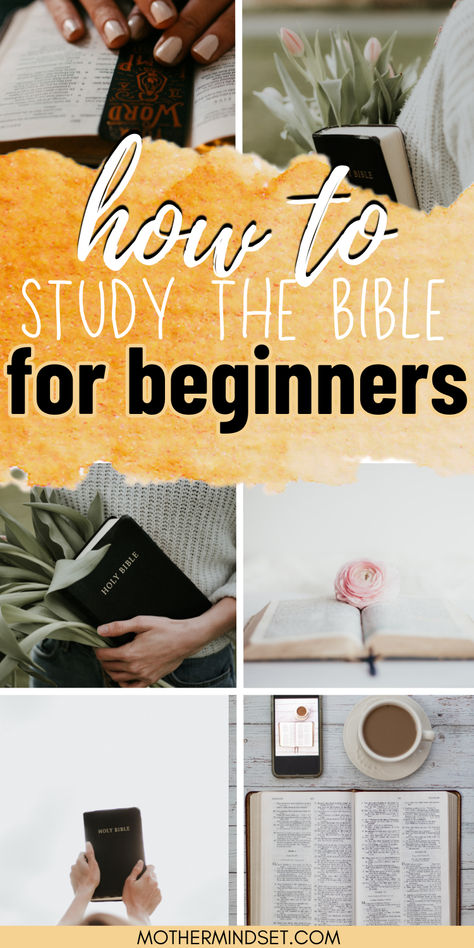 bibles open, pin for how to study the bible for beginners a complete guide Bible Study Guide For Beginners Women, Beginner Bible Study For Women, Womens Bible Study Ideas Activities, Bible Study Lessons For Women, Bible Study Plans For Women, How To Study The Bible, Bible Study Guide For Beginners, Study The Bible For Beginners, Bible For Beginners