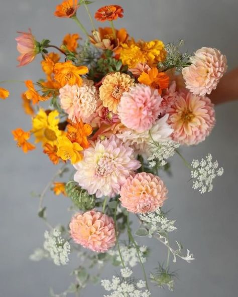 A modern hand-tied cascading bouquet with bush peach orange Dahlias, orange Cosmos, orange Zinnias, orange yellow Marigolds and white Lace flowres. Orange Daisy Bouquet, Zinnia And Cosmo Bouquet, Marigold Bridal Bouquet, Orange Dahlia Bouquet, Marigold Wedding Flowers, Orange And White Bouquet, Orange Cosmos, Zinnia Bouquet, Orange Dahlias