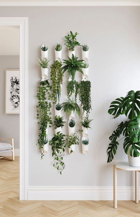 Plants Wall Tanaman Indoor, Plants Hanging, نباتات منزلية, Furniture Handmade, Best Indoor Plants, Bathroom Plants, Decoration Plante, Bedroom Plants, Plant Decor Indoor