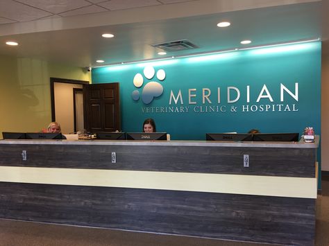 Meridian - Dr. Udrasols reception area. Letters are stainless steel over wall with lighting Veterinary Organization, Vet Office, Puppy Room, Future Office, Pet Hotel, Focal Wall, Clinic Design, Reception Area, Health Center