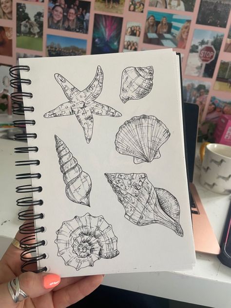 Shell Drawing Aesthetic, Marine Bio Drawing, Starfish Sketch Drawings, What To Draw On Your Sketchbook, Starfish Drawing Aesthetic, Sea Shells Sketch, Free Sketch Drawings, Drawing Of Shells, Drawing Book Ideas Sketchbooks