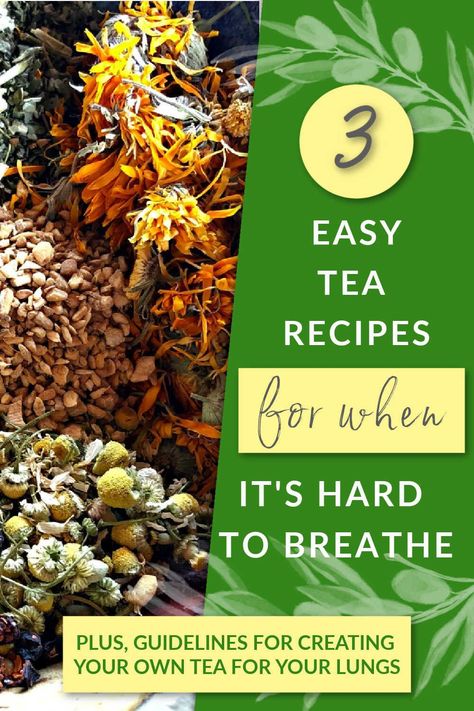 Do you suffer from difficulty breathing? With all the smoky fires in the west, many of us are having a hard time right now. Here are guidelines for creating a tea blend that can help, along with easy tea recipes you can make now. Great for soothing respiratory issues and helping you get a breath of air! #herbaltea #tearecipe #teaforlungs #lungtea #teaforbreathing #lungsupporttea #herbal #herbalism #herbalist #healingharvesthomestead Home Remedies For Bronchitis, Tea Blends Recipes, Natural Decongestant, Easy Teas, Medicinal Tea, Healthy Lungs, Healing Tea, Difficulty Breathing, Types Of Herbs