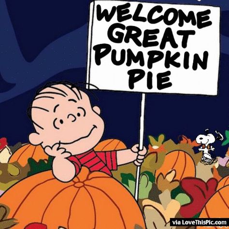 Welcome Great Pumpkin Pie thanksgiving thanksgiving pictures thanksgiving quotes thanksgiving quote happy thanksgiving quotes thanksgiving gifs thanksgiving quotes for family thanksgiving quotes for friends charlie brown thanksgiving Welcome Great Pumpkin, Family Friendly Halloween Movies, Great Pumpkin Charlie Brown, Good Morning Love Gif, Thanksgiving Pictures, Pumpkin Pictures, Peanuts Halloween, Charlie Brown Halloween, Halloween Memes