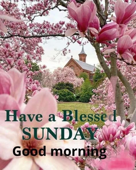 Happy Sunday Pictures, Sunday Blessings Quotes, Sunday Morning Wishes, Blessed Sunday Morning, Good Morning Sun, Happy Sunday Images, Good Morning Christmas, Good Morning Sunday Images, Sunday Morning Quotes