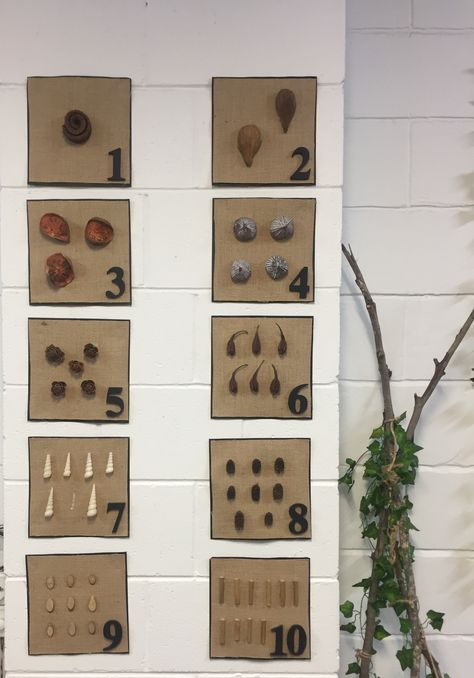 Reggio Emilia Numbers Math Activities, Cheap Classroom Decor Diy, Montessori Bulletin Board Ideas, Reggio Inspired Classrooms Toddlers, Regio Emilia Activities, Natural Preschool Classroom Decor, Nature Based Classroom, Reggio Emilia Classroom, Curiosity Approach