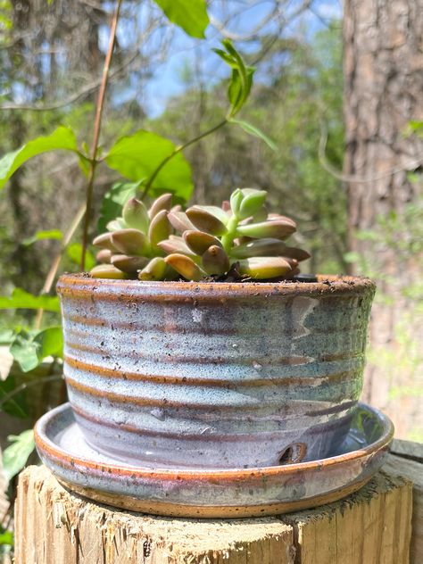 Pottery Wheel Plant Pot, Beginner Throwing Pottery Projects, Beginner Clay Wheel Projects, Unique Thrown Pottery, Plant Pots Pottery Ideas, Pottery Wheel Planter, Hand Thrown Plant Pots, Pottery Ideas On The Wheel, Pottery Wheel Vase Ideas