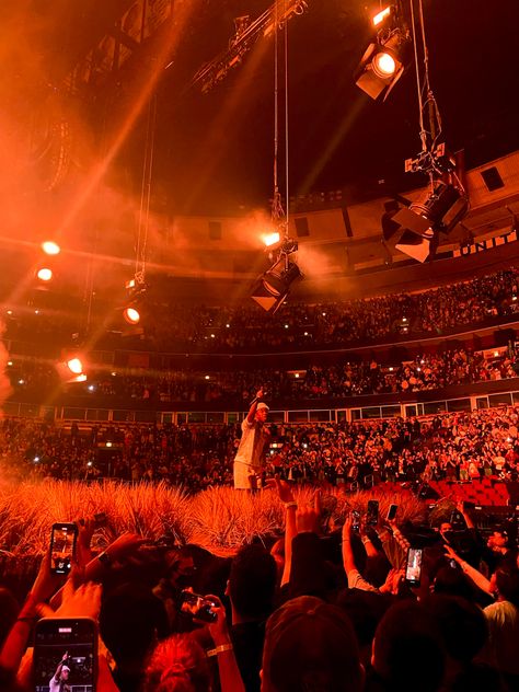 Flowerboy Tyler Aesthetic, Frank Ocean Concert Aesthetic, Take That Concert, Concert Tyler The Creator, Tyler The Creator On Stage, Tylerthecreator Aesthetic, Music Frank Ocean, Frank Ocean Concert, Tyler The Creator Concert