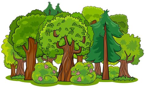 Mixed forest with trees cartoon Tree Cartoon Images, Forest Cartoon, Libros Pop-up, Forest Drawing, Animated Pictures, Cartoon Trees, Tree Clipart, Detailed Coloring Pages, Fall Coloring Pages