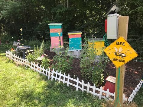 Bee Yard, painted #beehives #apiary #beekeeping Honey Bee Apiary, Beehive Garden Backyard Beekeeping, Backyard Beekeeping Setup, Bee Apiary Design, Bee Yard Design, Painted Bee Hives Boxes, Bee Hive Ideas, Bee Yard Ideas, Painted Beehives Ideas