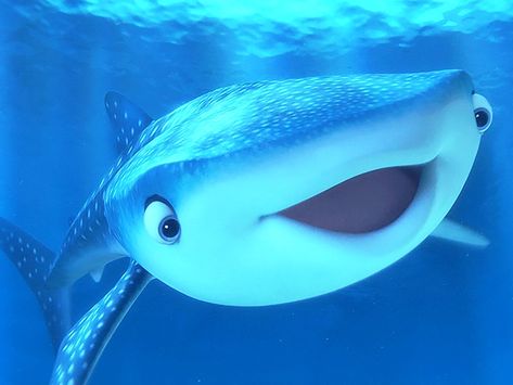 From Pixar’s Finding Dory (2016) Hear Me Out Unhinged, Destiny Finding Dory, Finding Dory Movie, Where Dreams Begin, Friends Vibes, Pinterest Widget, Nemo Dory, Media Journal, Disney Animals