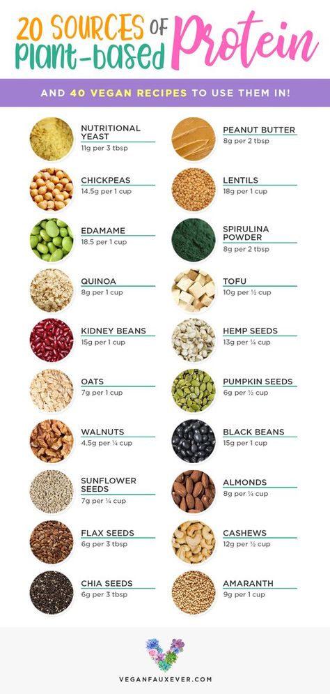 Plant Based Proteins, Plant Based Protein Sources, Vegan Protein Sources, Protein Dinner, High Protein Vegan Recipes, Vegetarian Protein, High Protein Vegan, Makanan Diet, Vegan Nutrition