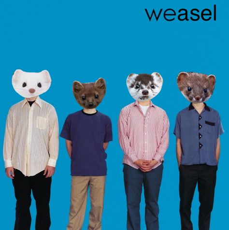 Weezer Blue Album Cover, Weezer Aesthetic, Weezer Blue, Rivers Cuomo, Silly Bands, Buddy Holly, Having No Friends, Zoo Wee Mama, Weezer