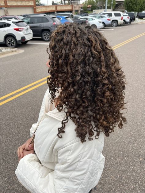 Naturally Curly Hair Aesthetic, Dark Brown Hair With Highlights On Curly Hair, Lowlights For Black Hair Curly, Curly Hairstyles Brown Hair, Dark Naturally Curly Hair, Long Dark Brown Hair Curly, Highlights On Curly Dark Hair, Thick 3b Hair, Deep Brown Curly Hair