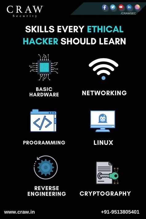 Black Box Testing, Hacking Course, Learn Hacking, Basic Computer Programming, Computer Science Programming, Hacking Books, Data Science Learning, Learn Computer Science, Coding Tutorials